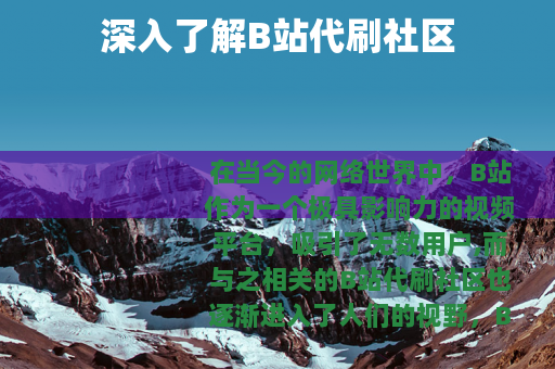 深入了解B站代刷社区