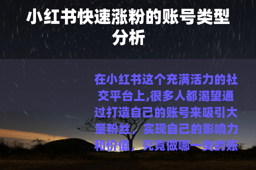 小红书快速涨粉的账号类型分析