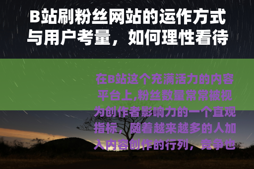 B站刷粉丝网站的运作方式与用户考量，如何理性看待粉丝增长策略