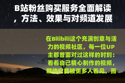 B站粉丝购买服务全面解读,方法、效果与对频道发展的长期观察 B站粉丝购买服务全面解读,方法、效果与对频道发展的长期观察