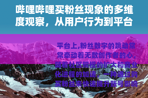 哔哩哔哩买粉丝现象的多维度观察，从用户行为到平台生态的演进轨迹