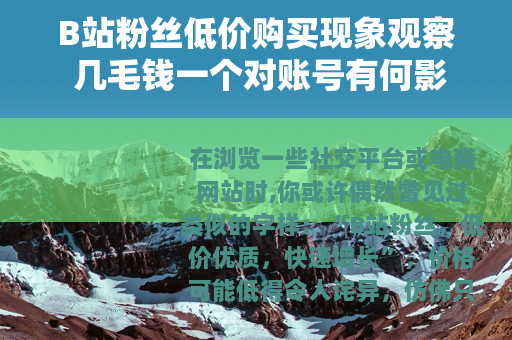 B站粉丝低价购买现象观察 几毛钱一个对账号有何影响