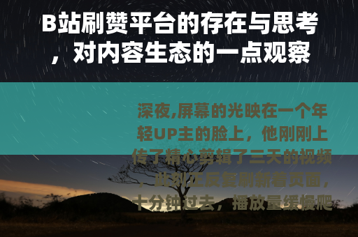 B站刷赞平台的存在与思考，对内容生态的一点观察