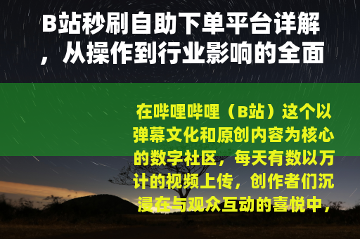 B站秒刷自助下单平台详解，从操作到行业影响的全面观察