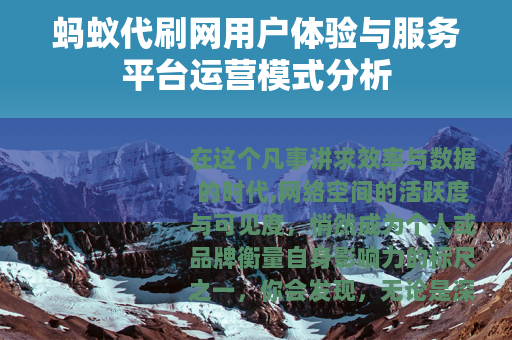 蚂蚁代刷网用户体验与服务平台运营模式分析