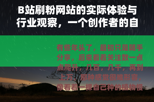 B站刷粉网站的实际体验与行业观察，一个创作者的自述