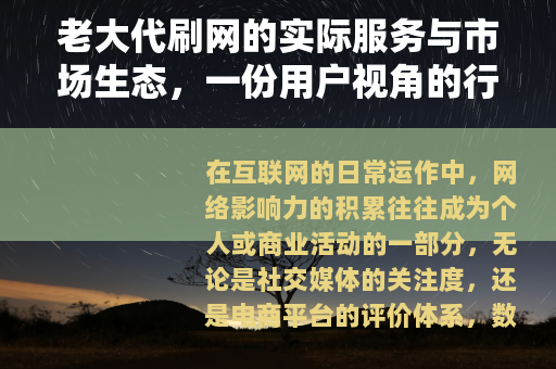 老大代刷网的实际服务与市场生态，一份用户视角的行业记述