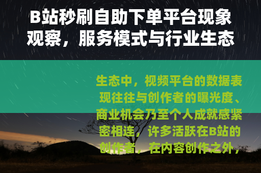 B站秒刷自助下单平台现象观察，服务模式与行业生态浅析