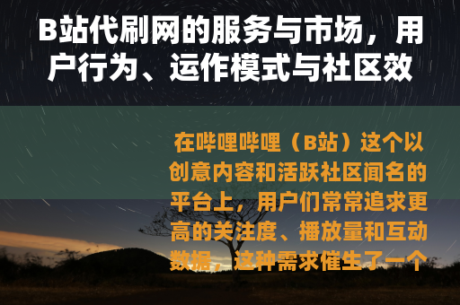 B站代刷网的服务与市场，用户行为、运作模式与社区效应分析