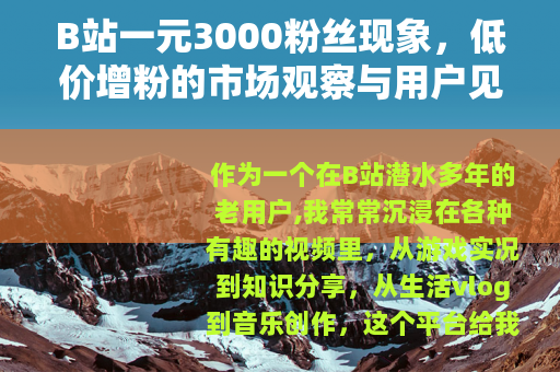 B站一元3000粉丝现象，低价增粉的市场观察与用户见解