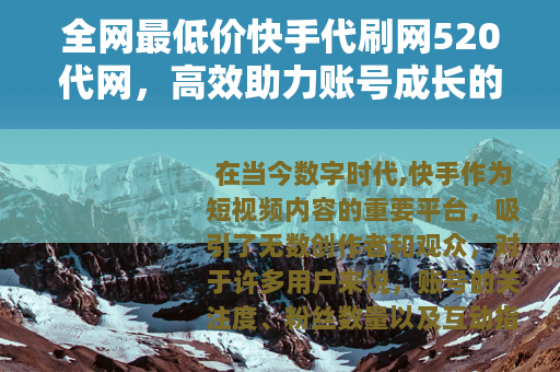 全网最低价快手代刷网520代网，高效助力账号成长的实用指南
