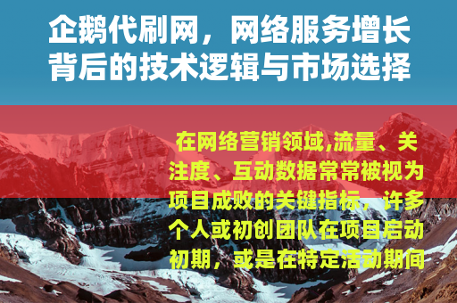 企鹅代刷网，网络服务增长背后的技术逻辑与市场选择