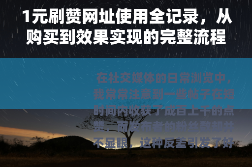 1元刷赞网址使用全记录，从购买到效果实现的完整流程分析