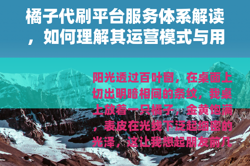 橘子代刷平台服务体系解读，如何理解其运营模式与用户需求