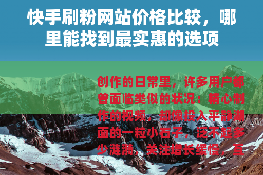 快手刷粉网站价格比较，哪里能找到最实惠的选项