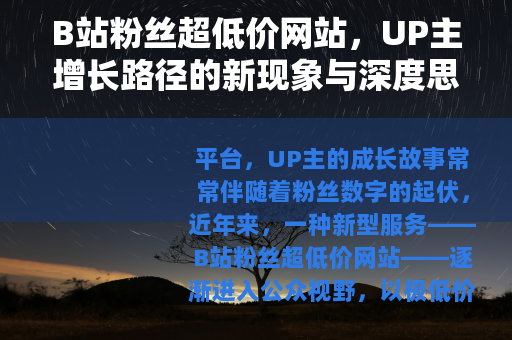B站粉丝超低价网站，UP主增长路径的新现象与深度思考