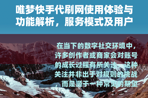 唯梦快手代刷网使用体验与功能解析，服务模式及用户反馈观察