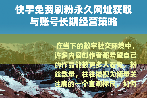 快手免费刷粉永久网址获取与账号长期经营策略