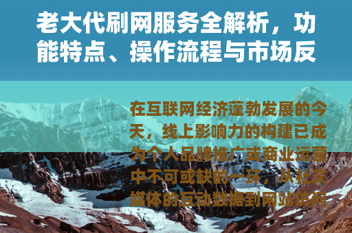 老大代刷网服务全解析，功能特点、操作流程与市场反响深度探讨