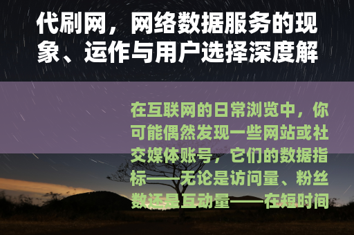 代刷网，网络数据服务的现象、运作与用户选择深度解析