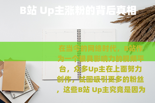 B站 Up主涨粉的背后真相