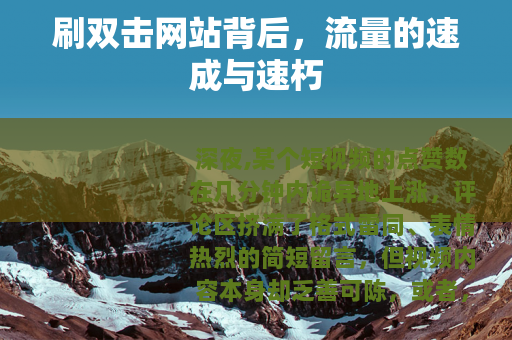 刷双击网站背后，流量的速成与速朽