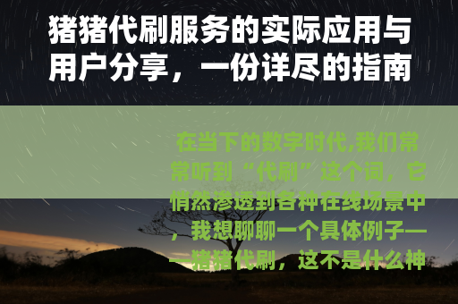 猪猪代刷服务的实际应用与用户分享，一份详尽的指南