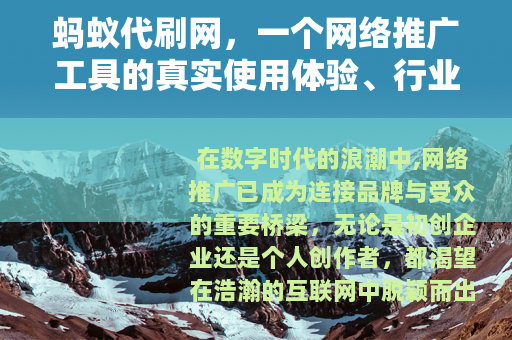 蚂蚁代刷网，一个网络推广工具的真实使用体验、行业分析与未来展望