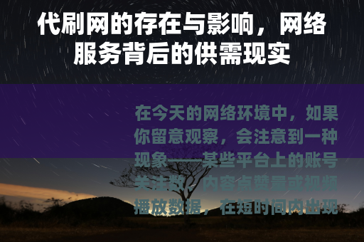代刷网的存在与影响，网络服务背后的供需现实