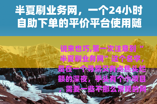 半夏刷业务网，一个24小时自助下单的平价平台使用随记