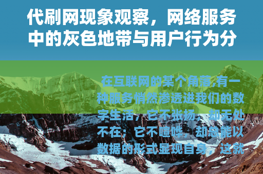 代刷网现象观察，网络服务中的灰色地带与用户行为分析