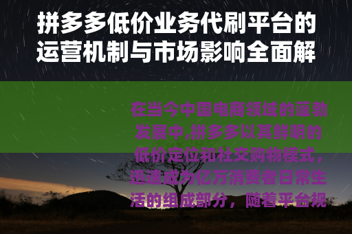 拼多多低价业务代刷平台的运营机制与市场影响全面解析