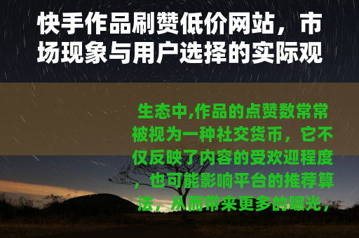 快手作品刷赞低价网站，市场现象与用户选择的实际观察