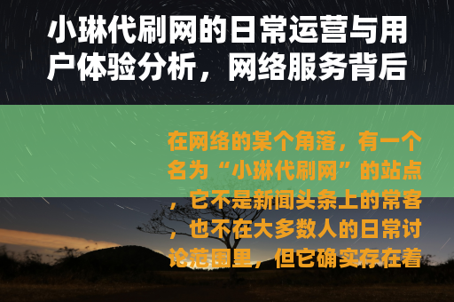 小琳代刷网的日常运营与用户体验分析，网络服务背后的实际生态观察