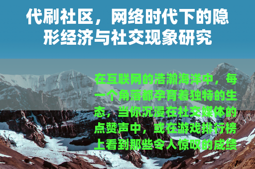 代刷社区，网络时代下的隐形经济与社交现象研究
