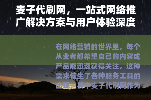 麦子代刷网，一站式网络推广解决方案与用户体验深度分享
