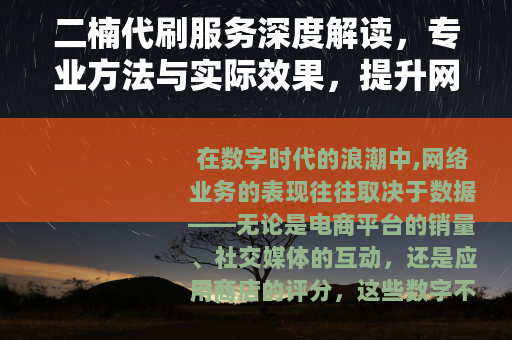 二楠代刷服务深度解读，专业方法与实际效果，提升网络业务的关键