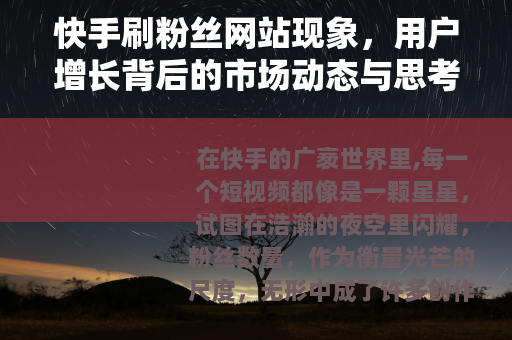 快手刷粉丝网站现象,用户增长背后的市场动态与思考 快手刷粉丝网站现象,用户增长背后的市场动态与思考