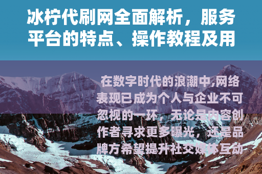 冰柠代刷网全面解析，服务平台的特点、操作教程及用户真实评价汇总