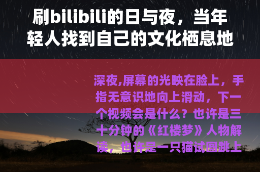 刷bilibili的日与夜，当年轻人找到自己的文化栖息地
