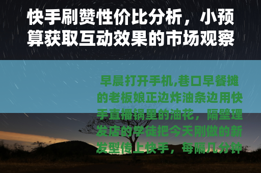 快手刷赞性价比分析，小预算获取互动效果的市场观察