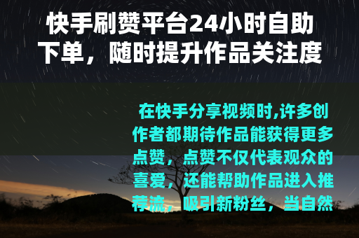 快手刷赞平台24小时自助下单，随时提升作品关注度的实用方法