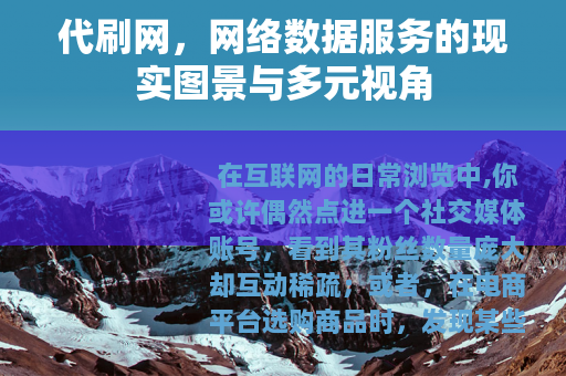 代刷网，网络数据服务的现实图景与多元视角