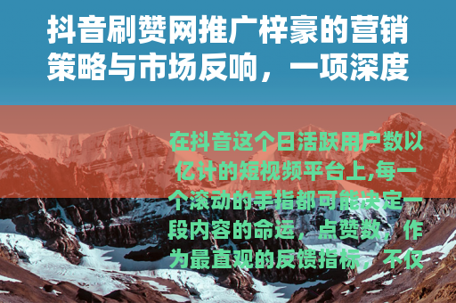 抖音刷赞网推广梓豪的营销策略与市场反响，一项深度案例分析