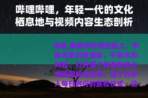 哔哩哔哩，年轻一代的文化栖息地与视频内容生态剖析