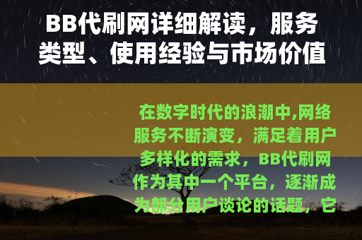 BB代刷网详细解读，服务类型、使用经验与市场价值分析