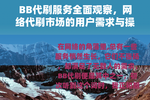 BB代刷服务全面观察，网络代刷市场的用户需求与操作方式