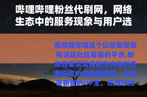 哔哩哔哩粉丝代刷网，网络生态中的服务现象与用户选择分析