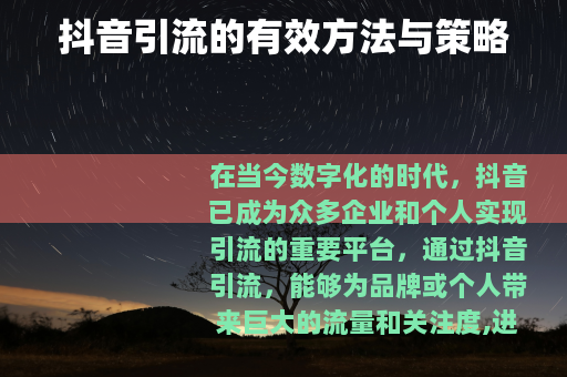 抖音引流的有效方法与策略