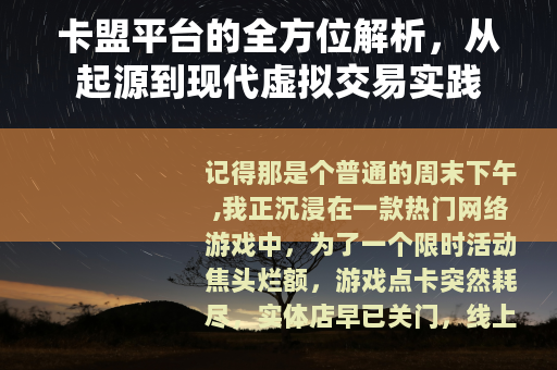 卡盟平台的全方位解析，从起源到现代虚拟交易实践